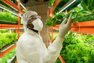 Food & Beverage Safety Risk Mitigation: Navigating FDA Traceability & 21 CFR Part 11