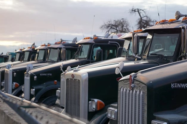 A row of dark Kenworth semi-trucks parked side by side with orange roof lights.