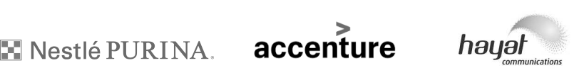 logo_1_grey