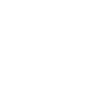 speed-icon-white-1.png