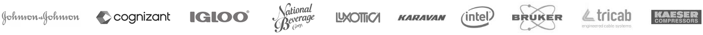 Johnson & Johnson, Cognizant, Igloo, National Beverage, Luxotica, Karavan, Intel, Bruker, Tricab, and Kaeser Compressor logos